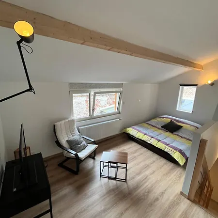 Le Chaufour Apartment Lille